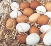  ?? The benefits of eggs are ‘overwhelmi­ng’ a new trade council report states ??