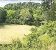  ?? RICK PECK/SPECIAL TO MCDONALD COUNTY PRESS ?? The tee shot on number 12 at Big Sugar has a wide open landing area, but the farther to the right the better unless you go too far and then it is in the water.