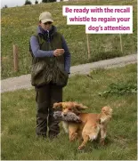  ??  ?? Be ready with the recall whistle to regain your dog’s attention