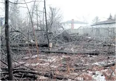  ?? LAURA BARTON/ WELLAND TRIBUNE ?? A view from the backyard of an Aqueduct Street home shows trees cut down on an Aqueduct Street property.