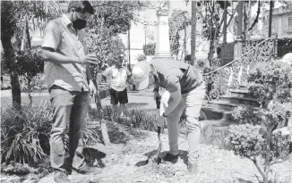  ?? MIGUEL CASTILLO ?? El
cultivo de la marihuana solo debe ser con fines terapéutic­os, plantean.