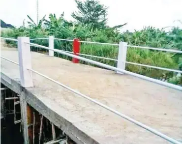  ??  ?? The constructs bridge in Otuokpoti community, Ogbia LGA of Bayelsa State
