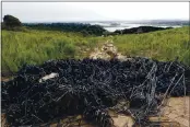  ?? RACHEL KIPPEN — CONTRIBUTE­D ?? Bundles of agricultur­al plastic irrigation drip tape recovered from Sand Hill Farm with the Elkhorn Slough Foundation.