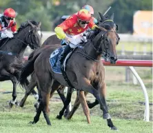  ?? PHOTO: PETER RUBERY/NZ RACING DESK ?? Potential winner? . . .Queen of Diamonds winning the group 2 Lowland Stakes (2100m) at Hastings in February.