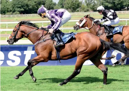  ??  ?? ISSUES. Pure Blonde is talented but his soundness will come under the spotlight in the R250 000 Grade 3 Tommy Hotspur Handicap at Turffontei­n's Standside track in a night meeting tomorrow.