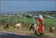  ?? (File Photo/AP/Rafiq Maqbool) ?? A woman walks with her grazing sheep Sept. 15 near a solar power plant in Karnataka, India.