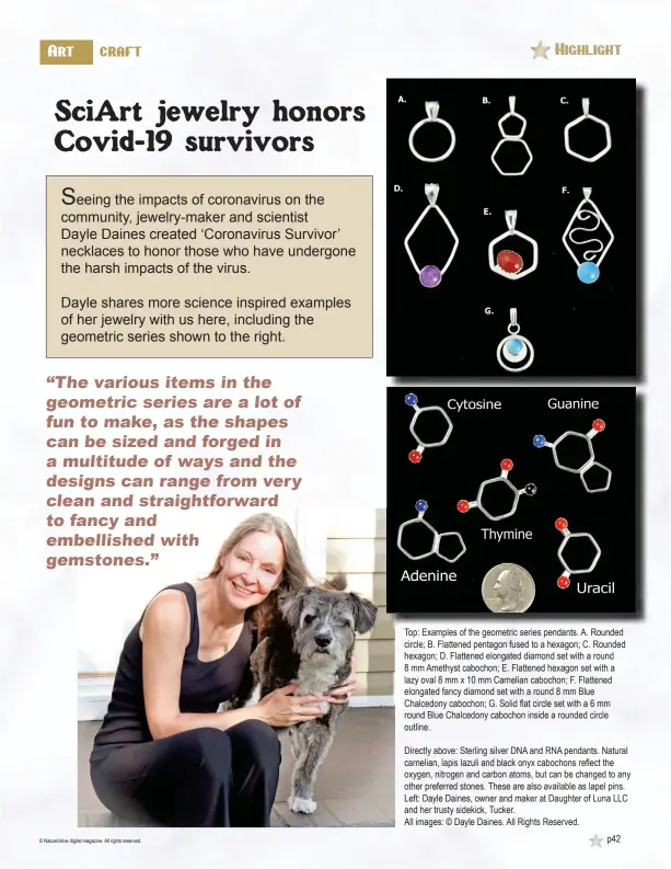  ??  ?? Top: Examples of the geometric series pendants. A. Rounded circle; B. Flattened pentagon fused to a hexagon; C. Rounded hexagon; D. Flattened elongated diamond set with a round 8 mm Amethyst cabochon; E. Flattened hexagon set with a lazy oval 8 mm x 10 mm Carnelian cabochon; F. Flattened elongated fancy diamond set with a round 8 mm Blue Chalcedony cabochon; G. Solid flat circle set with a 6 mm round Blue Chalcedony cabochon inside a rounded circle outline.
Directly above: Sterling silver DNA and RNA pendants. Natural carnelian, lapis lazuli and black onyx cabochons reflect the oxygen, nitrogen and carbon atoms, but can be changed to any other preferred stones. These are also available as lapel pins. Left: Dayle Daines, owner and maker at Daughter of Luna LLC and her trusty sidekick, Tucker.
All images: © Dayle Daines. All Rights Reserved.