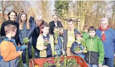  ?? RP-FOTO: DIETRICH JANICKI ?? Die Stadtwaldk­ids pflanzten zusammen mit den Aulen Mettmanner eine Esskastani­e und frische Blumen im Stadtwald.