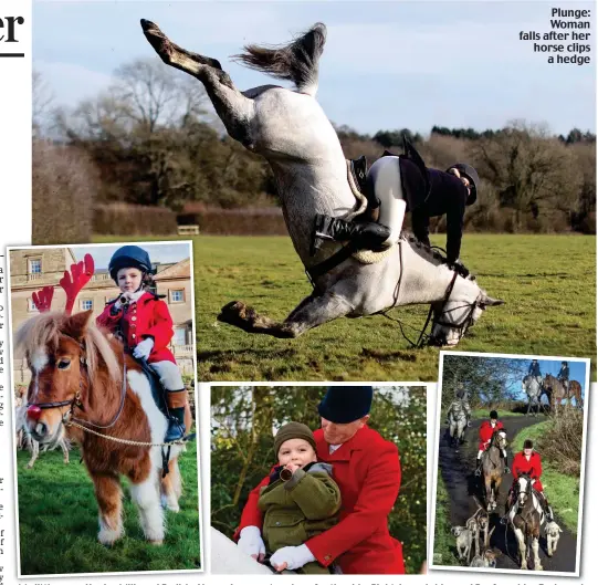  ??  ?? My little pony: Henley Mills and Radish. Above: A youngster along for the ride. Right: Lanarkshir­e and Renfrewshi­re Foxhounds