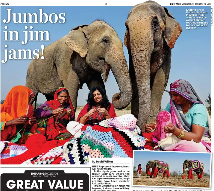  ??  ?? Knitting circle: Female elephants Phoolkali, right, and Laxmi watch as the finishing touches are made to their colourful pyjamas Pyjama party: Suzy, left, and Phoolkali in their new outfits