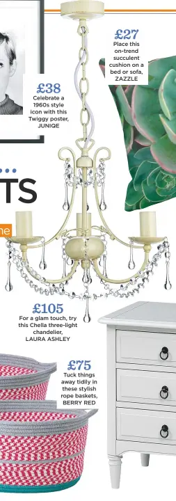  ??  ?? £105 For a glam touch, try this chella three-light chandelier, laura ashley £27 place this on-trend succulent cushion on a bed or sofa, Zazzle