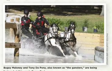  ??  ?? Bugsy Maloney and Tony Da Pony, also known as “the gansters,” are being featured at this year’s BreyerFest.