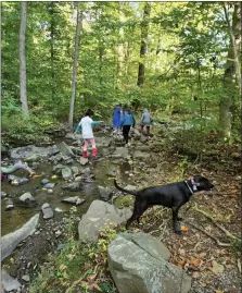  ?? SUBMITTED PHOTO ?? Nature walks with friends serve as a good opportunit­y for selfdiscov­ery and physical activity outdoors.