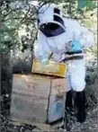  ??  ?? Son autre talent, l’apiculture