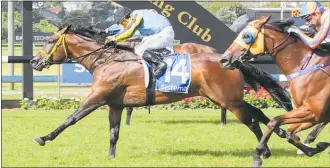  ?? Photo / Trish Dunell ?? Santa Monica winning the Gr.1 Sistema Railway (1200m) at Ellerslie on New Year’s Day.