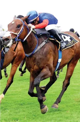  ?? Picture: JC Photograph­ics ?? IMPROVING. Changing Seasons ran an improved race behind Lake Kinneret last time and looks the runner to beat in Race 5 at the Vaal tomorrow.