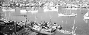  ?? — Photo courtesy of Newfoundla­nd and Labrador Archives. ?? White Fleet vessels in St. John’s Harbour circa 1950.