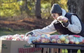  ?? H John Voorhees III / Hearst Connecticu­t Media ?? Volunteer Vivian Epstein, of Ridgefield, sorts bags of apples at St. Andrew's Church on Friday morning in Ridgefield. Food delivered by CT Foodshare was distribute­d by Ridgefield Social Services.