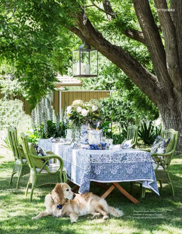  ?? ?? Dappled shade makes lunching beneath a canopy of leaves a truly delightful experience.