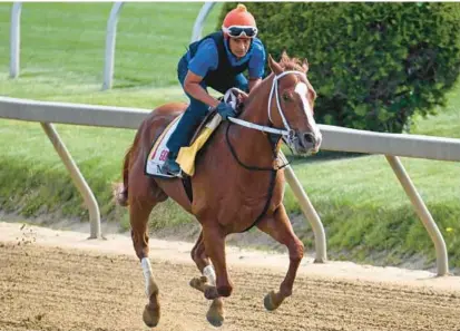  ?? JERRY JACKSON/BALTIMORE SUN ?? Kentucky Derby winner Mage runs on the Pimlico track Tuesday morning in preparatio­n of Saturday’s Preakness.