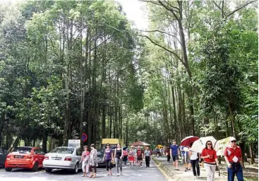  ??  ?? Members of the public visiting Taman Rimba Kiara in Taman Tun Dr Ismail.