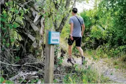  ??  ?? Many of the local parks offer hiking trails, some of which have on-leash dog options.