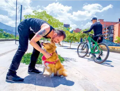  ?? FOTOS ?? Juan Felipe Zapata, con su mascota Foxy, se volvió un habitual visitante del parque. Por el lugar pueden transitar bicicletas pero si los usuarios las llevan en la mano.