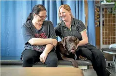  ?? MONIQUE FORD/STUFF ?? Stroke patient Hapeti Pringle, left, with therapy dog Ollie and therapist Kerry McKiernan.