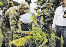  ?? ?? Esta estrategia es un ejemplo de articulaci­ón que se apoya, además, en institucio­nes como el Ejército y que tiene mucha experienci­a en la siembra de árboles nativos, en todas las zonas de Colombia.