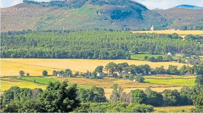  ?? Picture: Getty Images. ?? All sectors of the farming industry in Scotland will now make a case for a share of the funds.