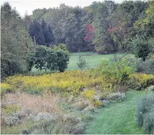  ?? LEE REICH, THE ASSOCIATED PRESS ?? A path mown through a meadow of goldenrod, asters and other flowering plants.