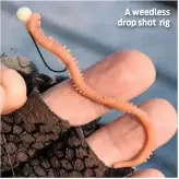  ??  ?? A weedless drop shot rig