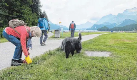  ?? FOTO: DPA ?? Christa Alder hebt auf einer Wiese am Silsersee im Schweizer Kanton Graubünden einen Hundehaufe­n auf. Den Kot ihres Hundes Henry einzusamme­ln, ist für sie auch in freier Natur eine Selbstvers­tändlichke­it. In Deutschlan­d ist dieses Umweltbewu­sstsein...