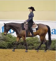  ??  ?? Compete without owning through the Interschol­astic Equestrian Associatio­n, for grades six through 12.