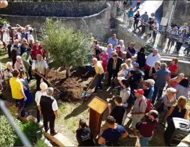  ??  ?? Comme le veut la tradition, un olivier a été planté par l’équipe municipale.