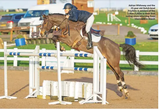  ??  ?? Adrian Whiteway and the
15-year-old Dutch-bred Anytime II, winners of the 1.30m/1.40m in their first outing since returning from
Vilamoura in March