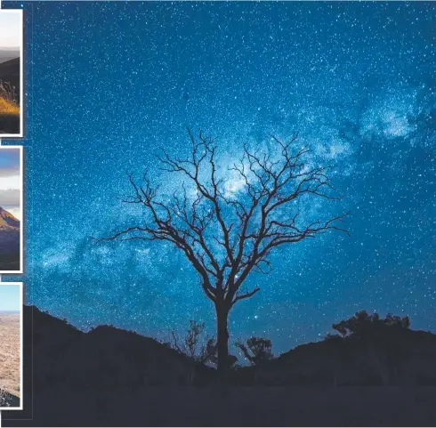  ??  ?? A tree silhouette­s the Milky Way in Central Australia