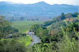  ?? TNS ?? Dry Creek Road cuts through a green landscape, seen from Trattore Estate Wines north of Healdsburg, Sonoma County.