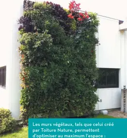  ??  ?? Les murs végétaux, tels que celui créé par Toiture Nature, permettent d’optimiser au maximum l’espace : un délice pour les yeux!