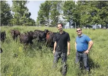  ??  ?? Healthy Butcher co-owners Mario Fiorucci, left, and Dave Meli sell 100 per cent grass-fed beef at their three Ontario stores. They say the meat is healthier and less fatty than that of grain-fed cows.