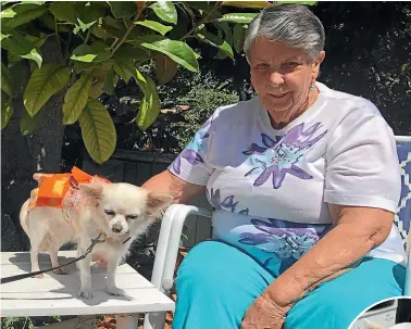  ??  ?? Above: Faye Emery, with her beloved pooch Bubbles, both survived a major crash in January last year and have been recovering in Taupo¯ .