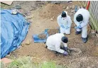  ??  ?? Forensic archaeolog­ists at work.