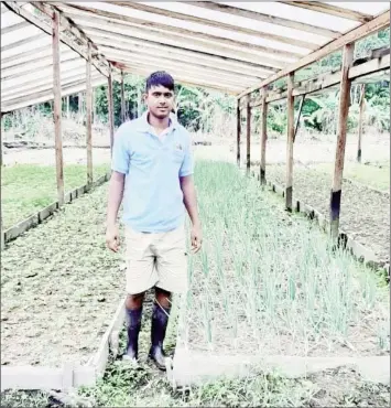 ??  ?? Haimchan ‘Vicky’ Segolam at his onion farm