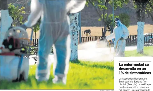  ?? PEPO HERRERA / EFE ?? Un operario fumiga unos jardines en La Puebla del Río, una de las localidad más afectadas el verano pasado.