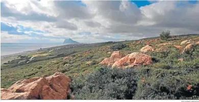  ?? ERASMO FENOY ?? Finca de Los Portichuel­os, donde originalme­nte tenía planteado REE construir la subestació­n eléctrica.