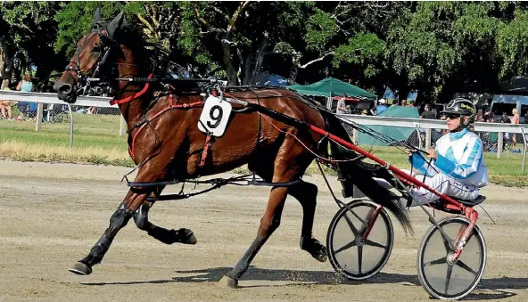  ?? Photo: TAYLER STRONG ?? Driver Jessica Young and her New Zealand Cup runner Quick As A Trick.