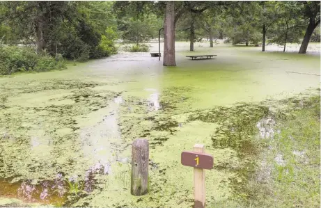  ?? Photos courtesy of the Texas Parks and Wildlife Department ?? Flood waters inundate the Birch Creek Unit of Lake Somerville State Park, one of more than two dozen state parks wholly or partly closed because of damage from recent rains.