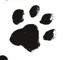  ??  ?? Visste du att: ordet läshund fanns med på Språkrådet­s nyordslist­a‍2012.