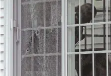  ??  ?? SHATTERED LIVES: Officers, above left, call ‘Woman down!’ after realizing a woman has been shot through a sliding glass door at a Torrey Street home. Bullet holes can be seen in the door, above right.