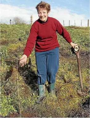  ??  ?? Catherine Smith plants a kauri for her granddaugh­ter at Waiwhakare­ke Natural Heritage Park.